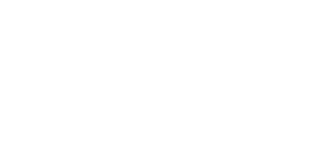 Exclusive Visa Program